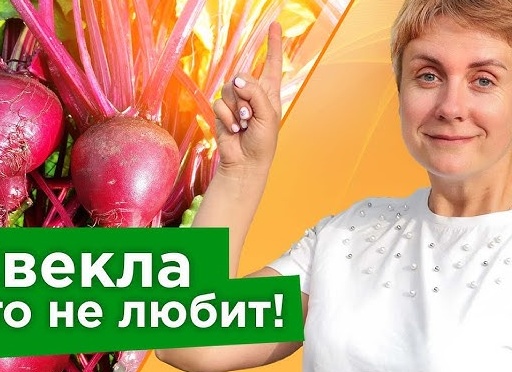 Своими руками: 5 ошибок, из-за которых ремонт или дом выходят дороже